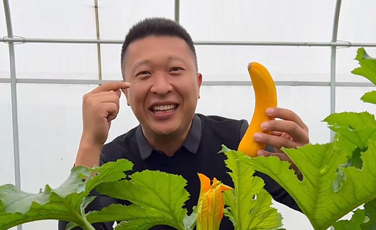 大学生回村种菜一年几百万,厌倦了打工的生活回村种菜养牛