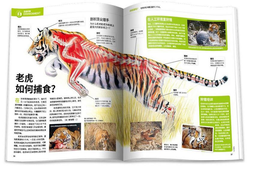 华罗庚和杨振宁谁比较厉害,杨振宁排名全球物理学家第几