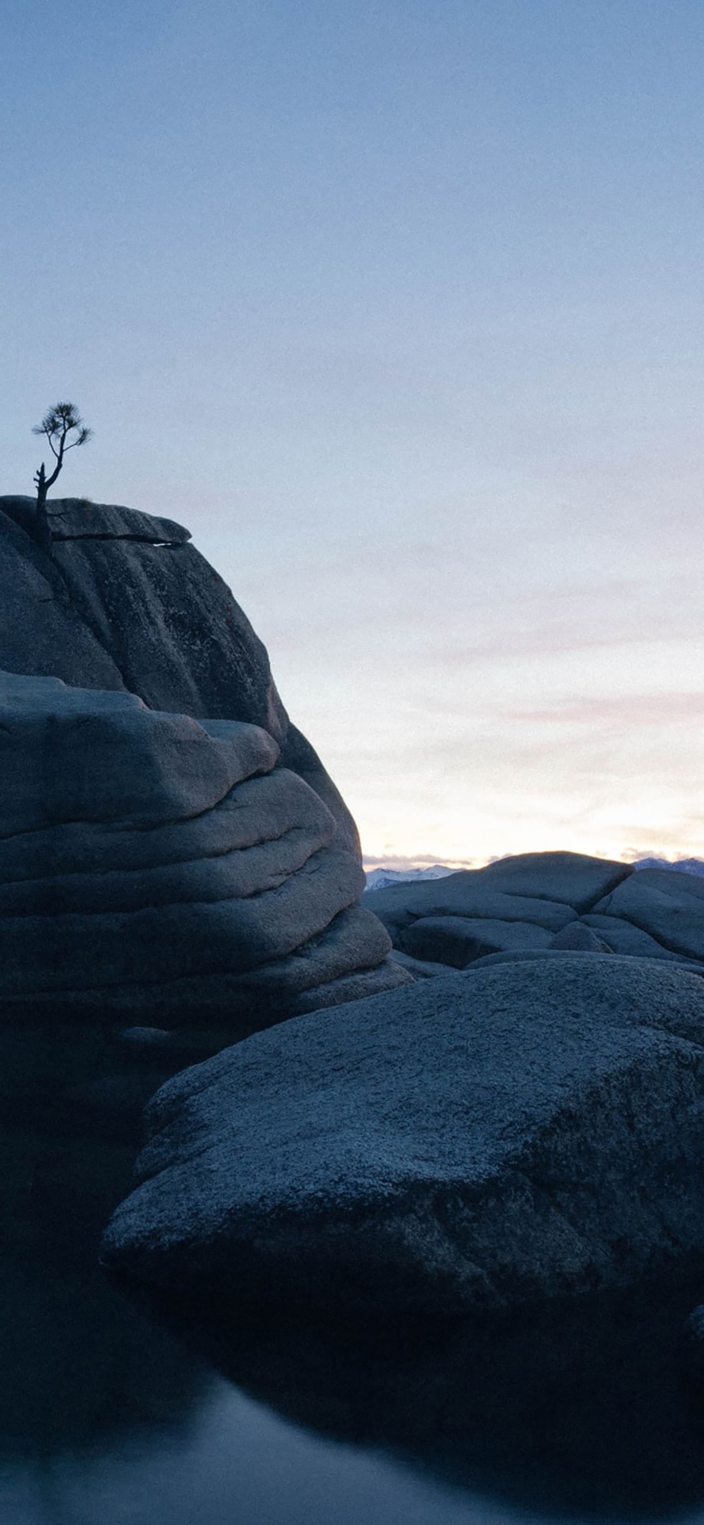 壁纸仙女绿色系护眼壁纸套图,各种高清护眼壁纸