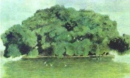 小学课本很难吗？是啊，不信你就来挑战试试看