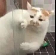 夏日底妆实力担当妆感清透,夏日瑕疵皮底妆推荐