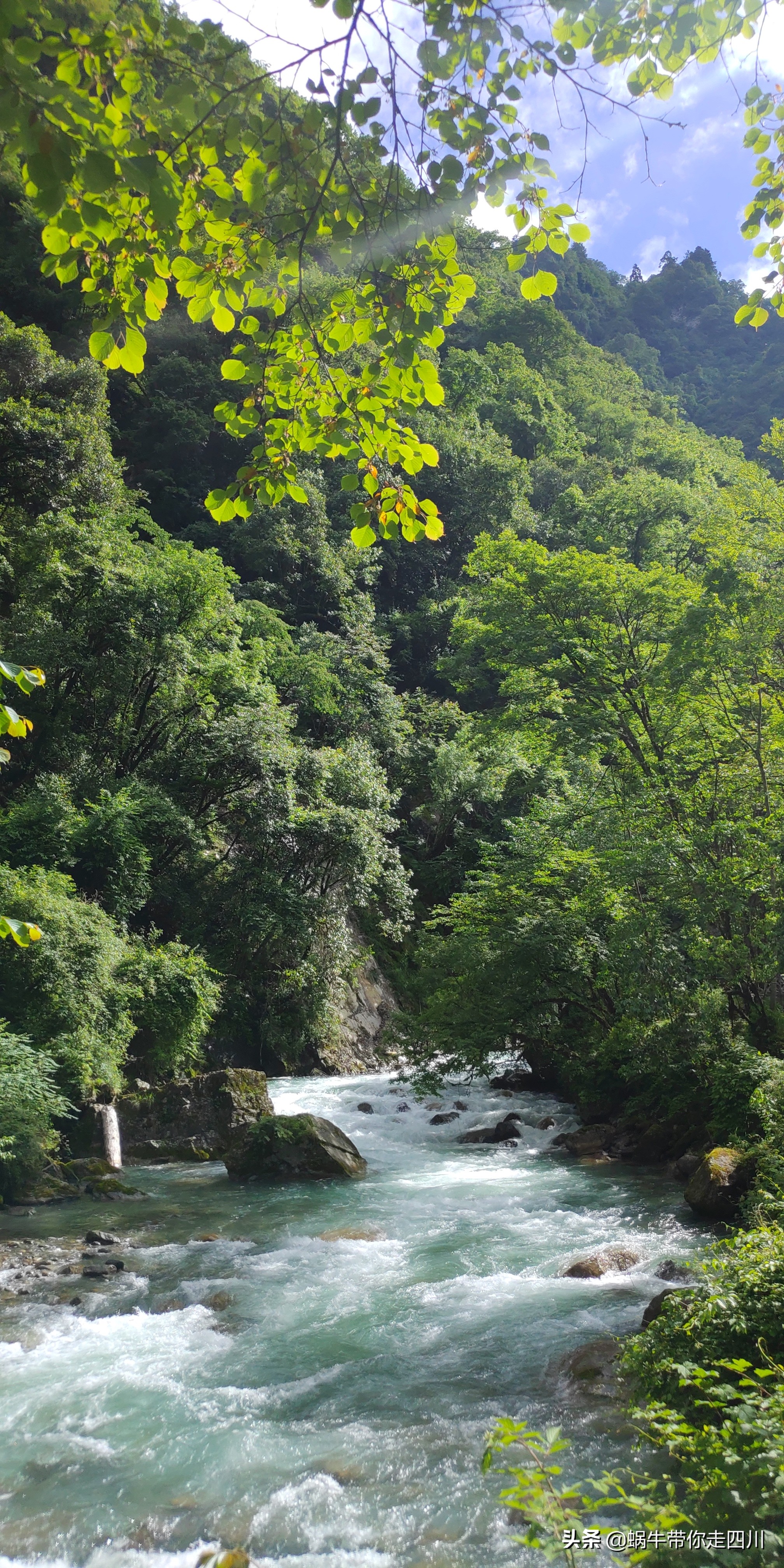 四川成都一家四口骑行游西藏,成都一家三口八日游