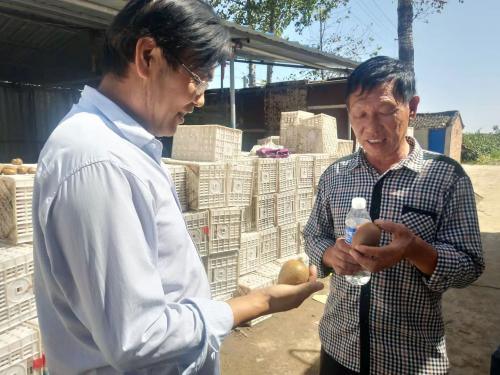 宝鸡市眉县有个“刘大能”十年卖桃9000万斤