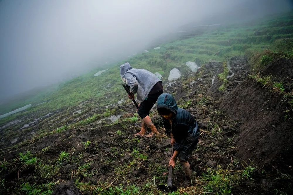 拼多多如何做商业模式,想做拼多多有几种模式
