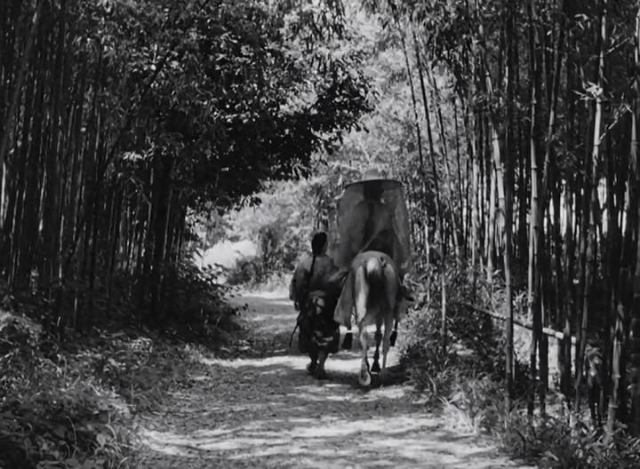 罗生门谜案的故事,罗生门谜案