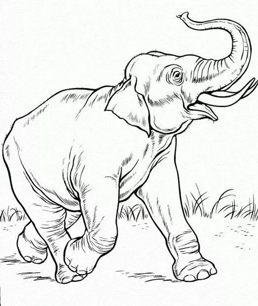 画画入门教程干货博主,基础入门画画必知