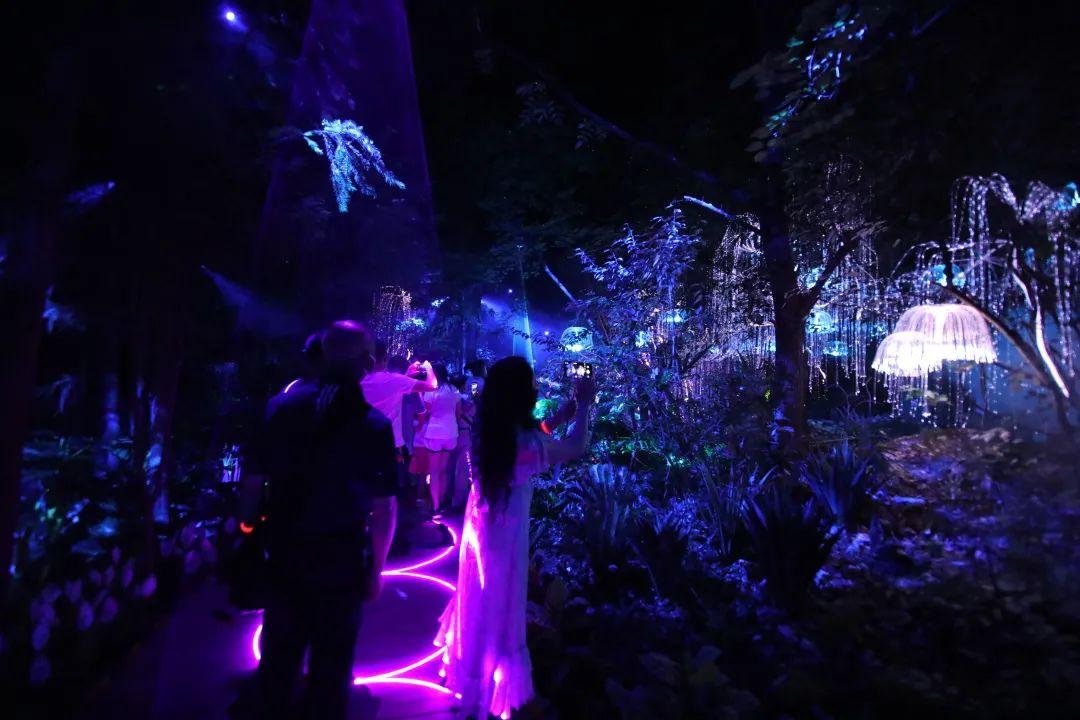 巴中光雾山红叶的最佳时间,红叶谷打卡地