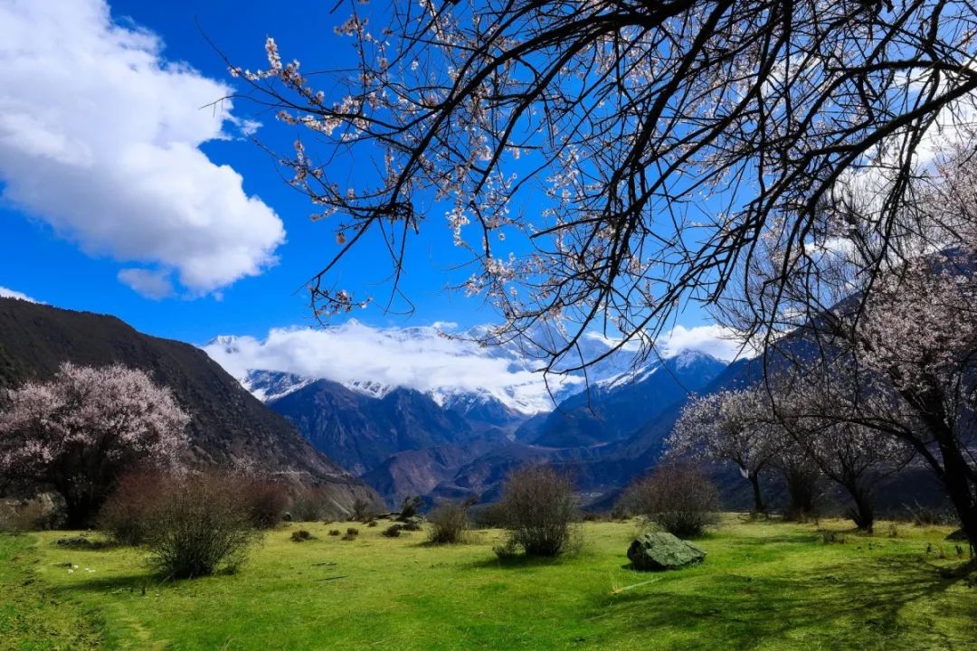 中医治疗慢性肝病的关键一点,慢性肝病中医怎么治疗