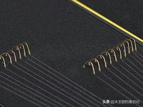 钓鱼技巧野钓鲤鱼线组,钓鱼技巧子线的长度到底多少合适