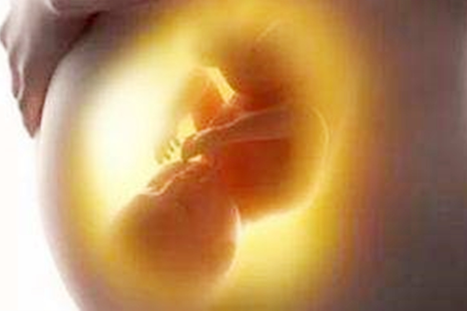 如何判断怀孕?胚胎着床时,女人会有这几种感受,你感受到了吗