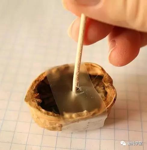 废物利用亲子手工制作坚果,创意坚果手工制作大全图片