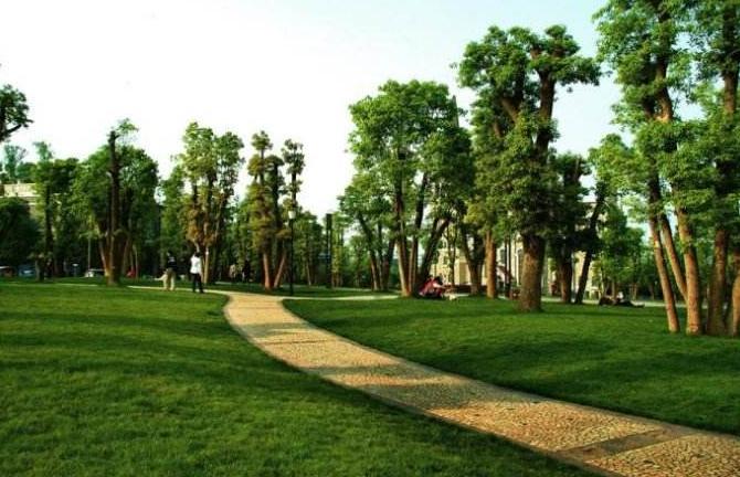 重庆北区蔡家房子值得买吗,重庆未来蔡家房价如何