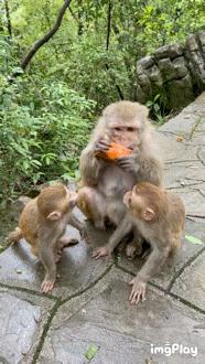 刚从后院挖出来的,大家帮我鉴定一下,我是不是要发财了?