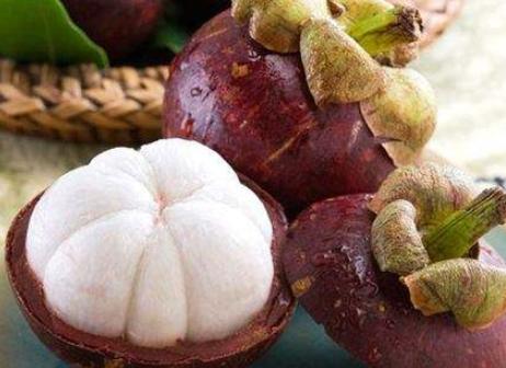 山竹哪里便宜又好,又高又大的山竹怎么样