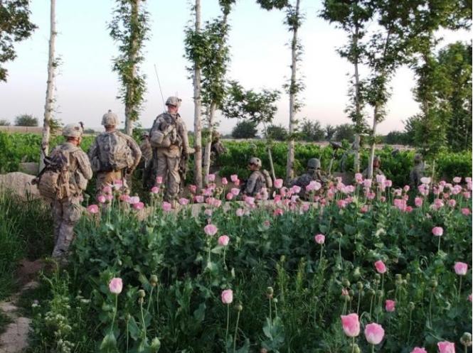 墨西哥毒枭美国中情局,美国中情局卧底墨西哥毒枭