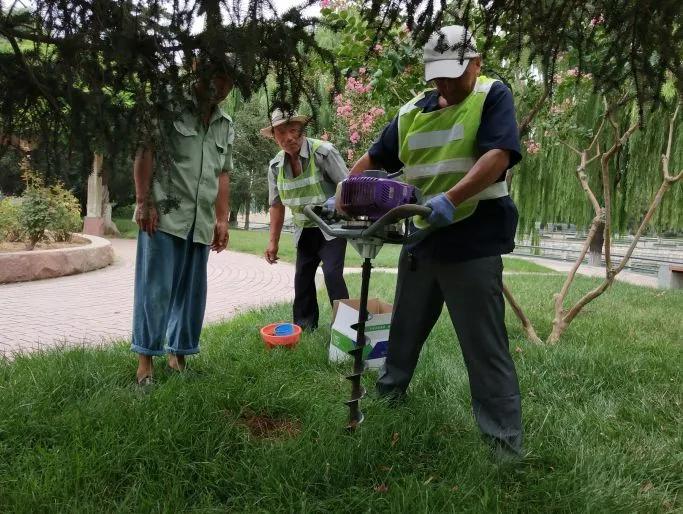住宅小区园林植物的配置与养护,园林植物枯萎病的防治养护