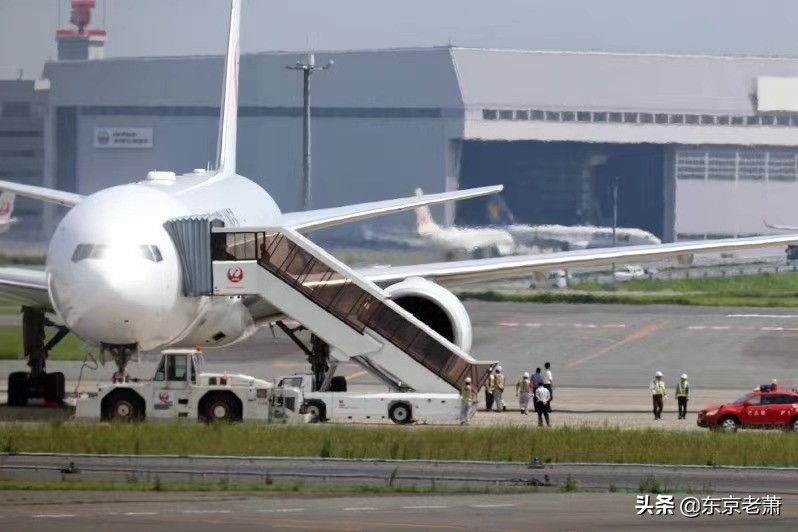 十年东京华人老炮解析——东京23区图鉴