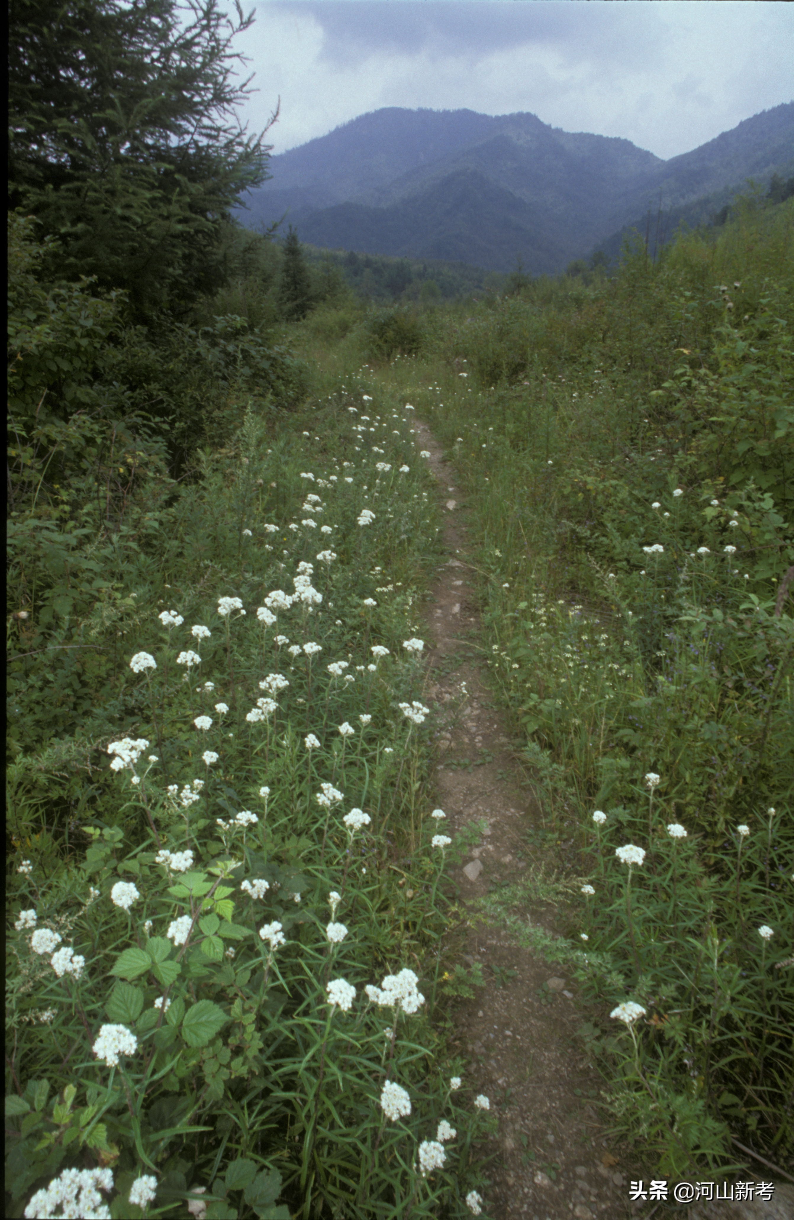 秦岭古栈道老照片,寻访秦岭古村落的感受