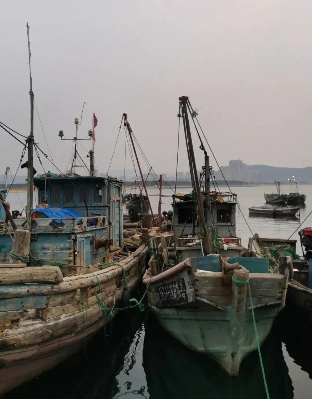 威海生蚝都是乳山生蚝吗,山东威海乳山生蚝牡蛎