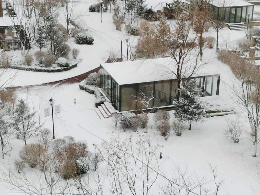 我看“春风”拂来的沈阳