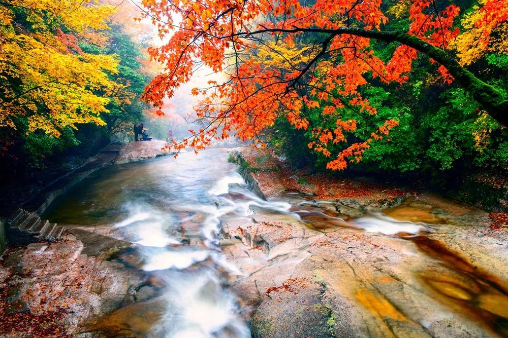 巴中光雾山红叶的最佳时间,红叶谷打卡地