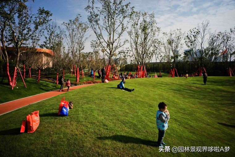 收藏100种常见花卉植物,100种珍藏植物