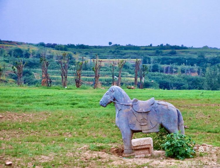 游玩万安山,洛阳万安山游玩攻略