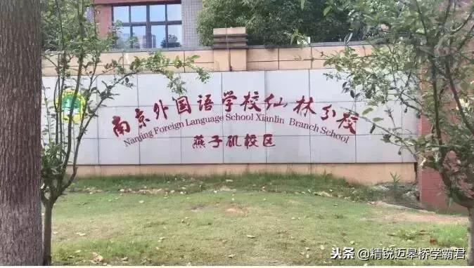 燕子矶新添高颜值网红学校，未来名校阵容堪比河西南！