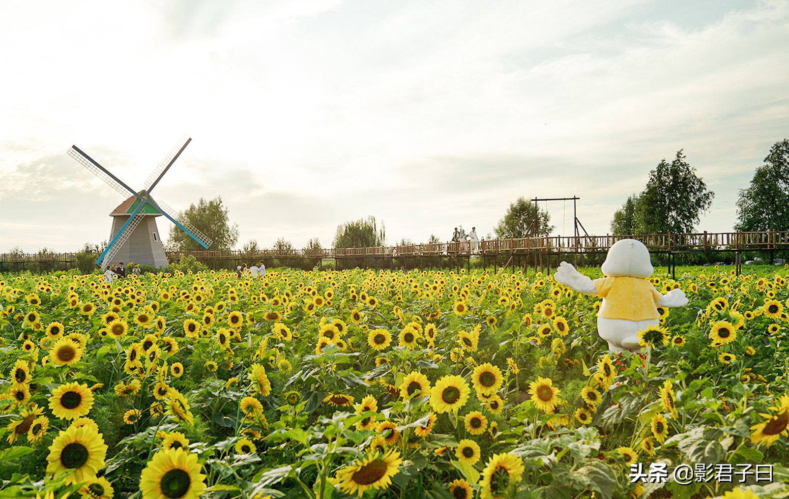 乡村振兴中我和我的家乡征文,我和我的家乡乡村振兴征文