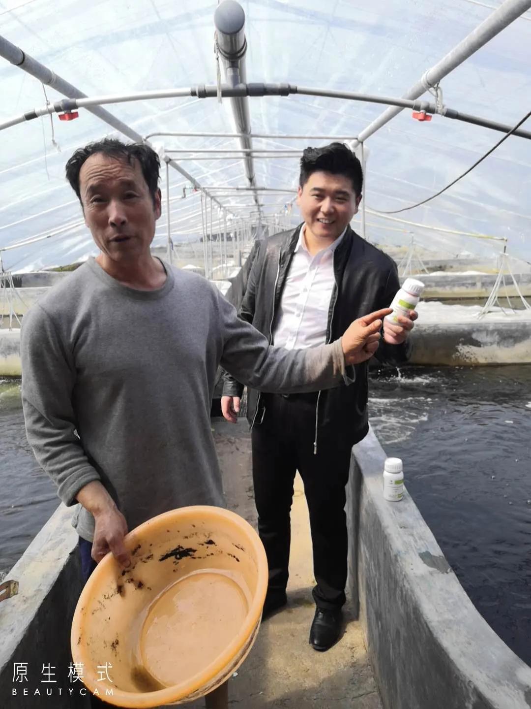 菌虫双抗，安全养殖！日照刘老板解决对虾肠炎、拖便竟如此简单