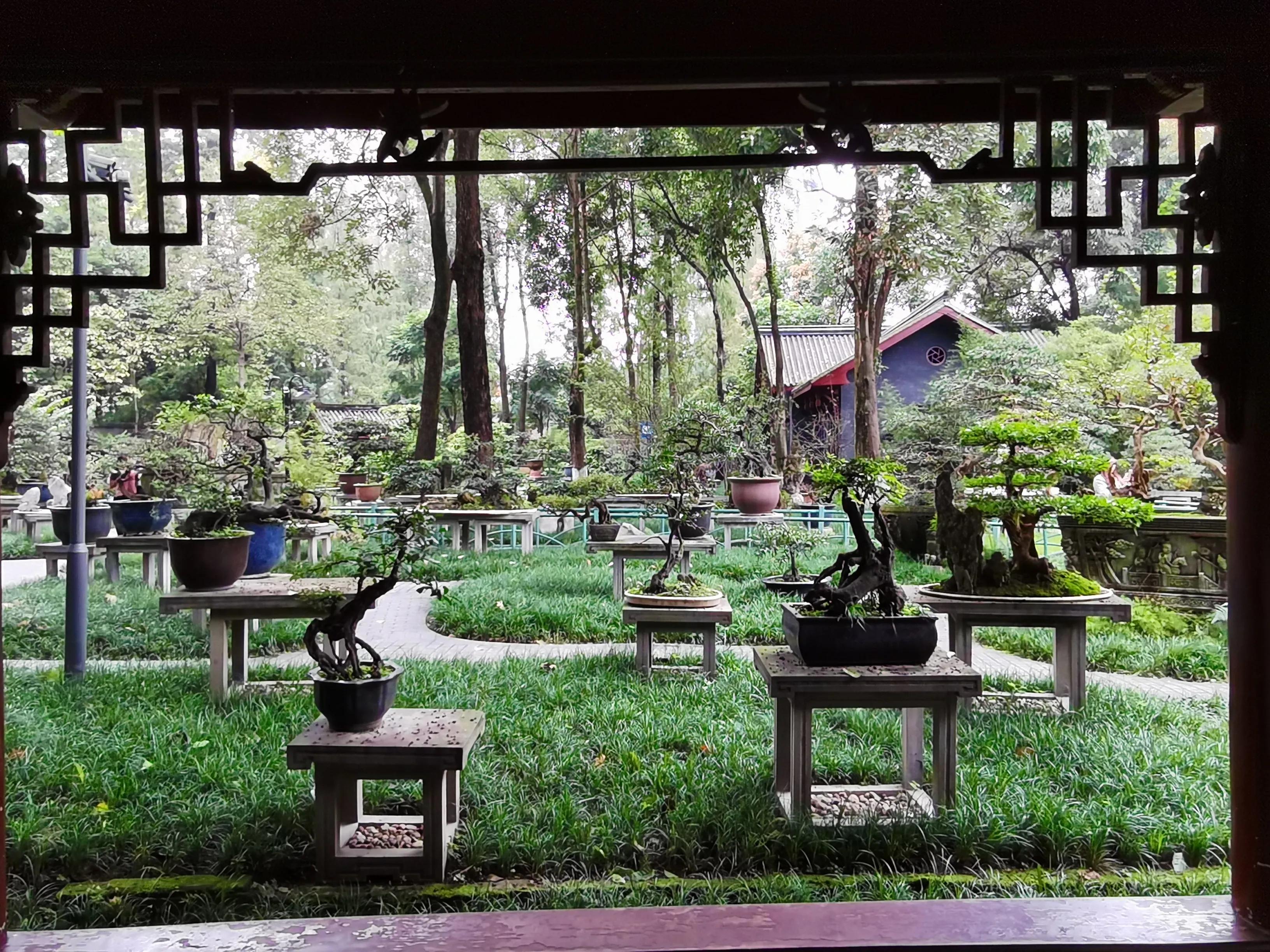 成都人民公园男厕所,成都人民公园喝茶