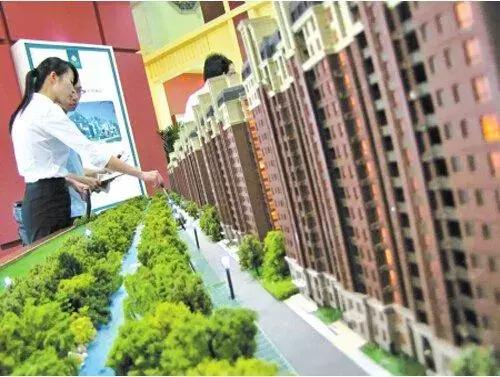 河南“水果猎人”走遍东南亚雨林,吃过600多种水果;月球上长出第一株绿芽,种子培育来自安阳丨大河早新闻