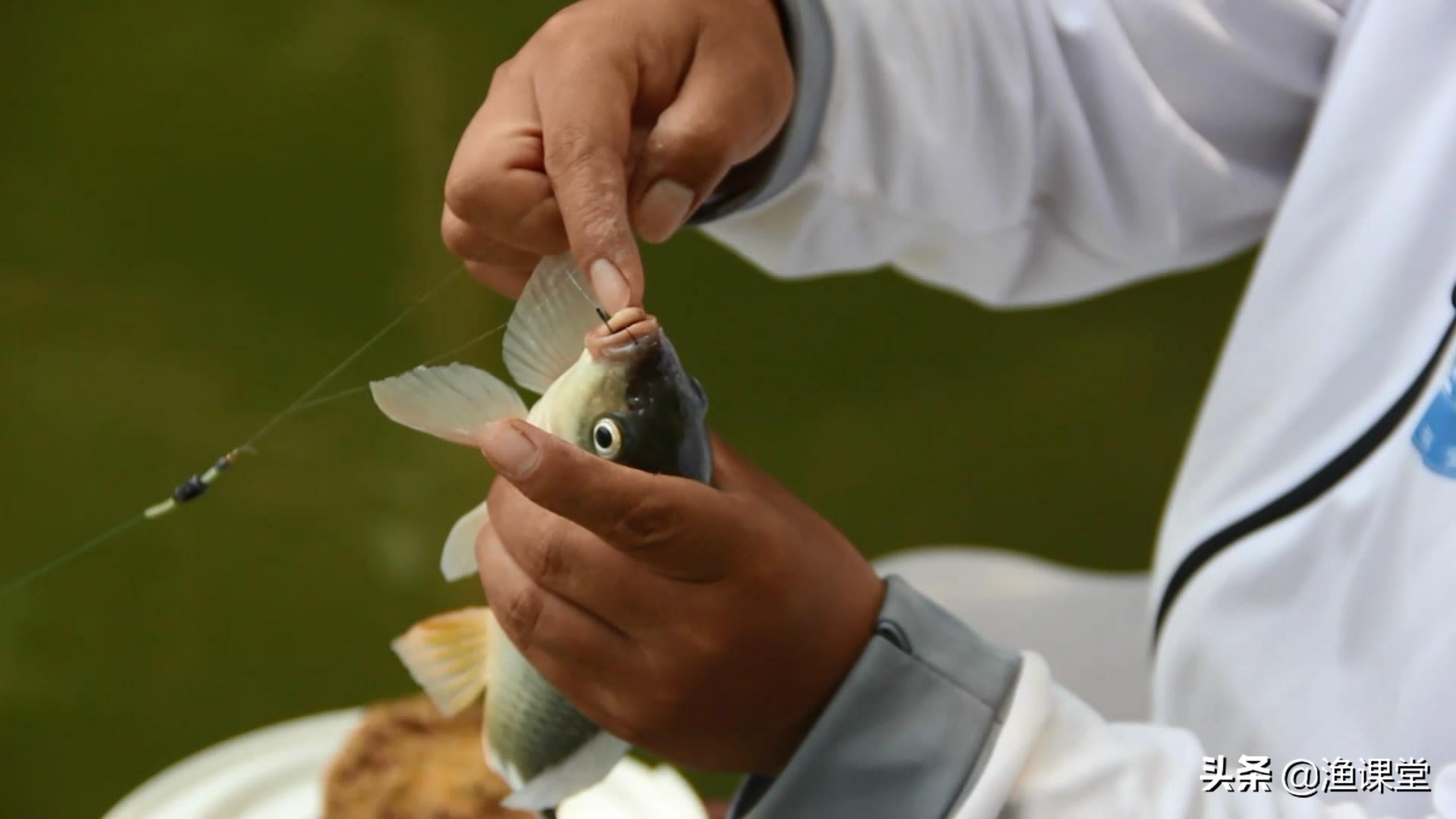 钓鱼技巧精准调漂只需4步,十年的钓鱼经验告诉你鱼竿保养