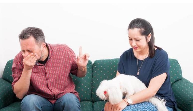 流浪的比熊犬在路边求救,比熊犬求救信号