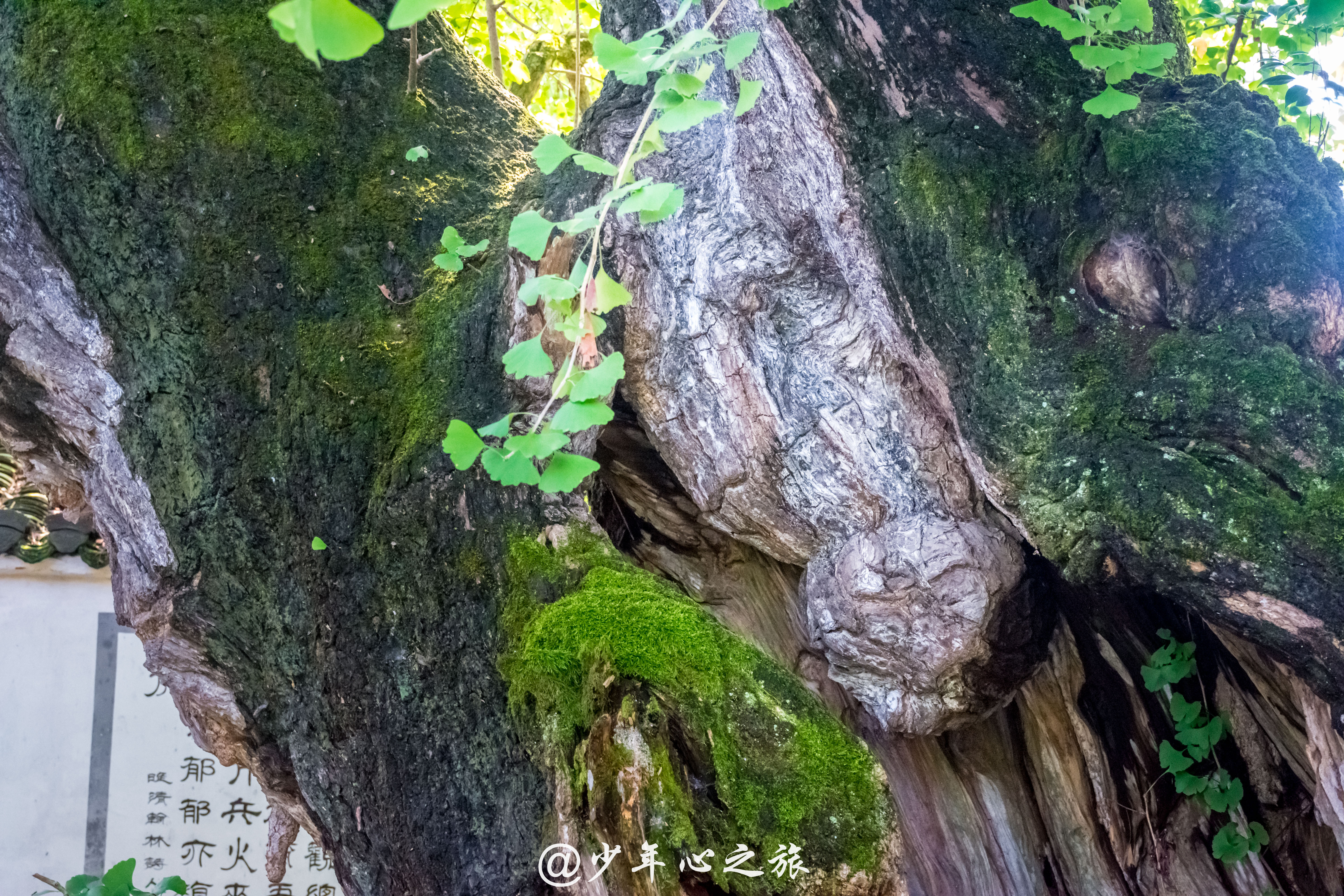 千年古村落唐模村,千年古村唐模