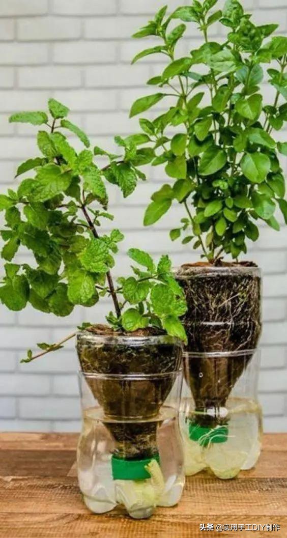 旧物利用改造技巧塑料瓶,简单的旧物改造塑料瓶高清图片