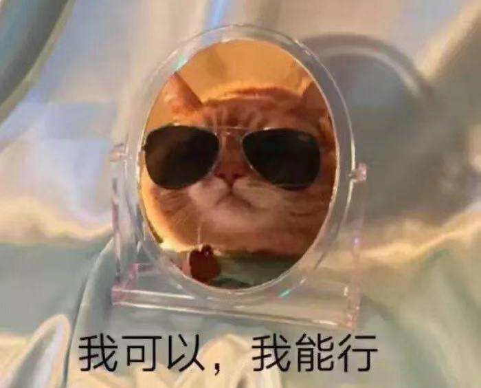 一年一度的防晒,全网最全的防晒测评