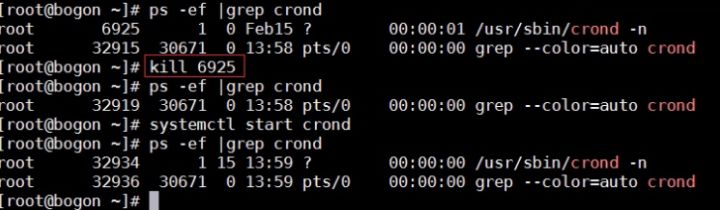linux入门视频哪个好,linux进程基础教程详解学习