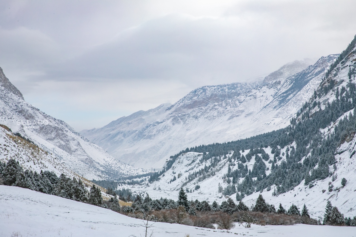 疆内哪里好玩风景好,疆内好玩的地方推荐