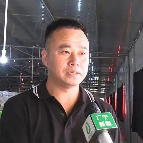 上万只兔子“搬新家”？肇庆这个项目有新进展！全部投产后将实现年产值1.3亿……