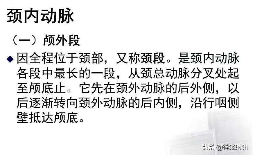 脑动脉解剖学讲解,基底节区脑血管解剖