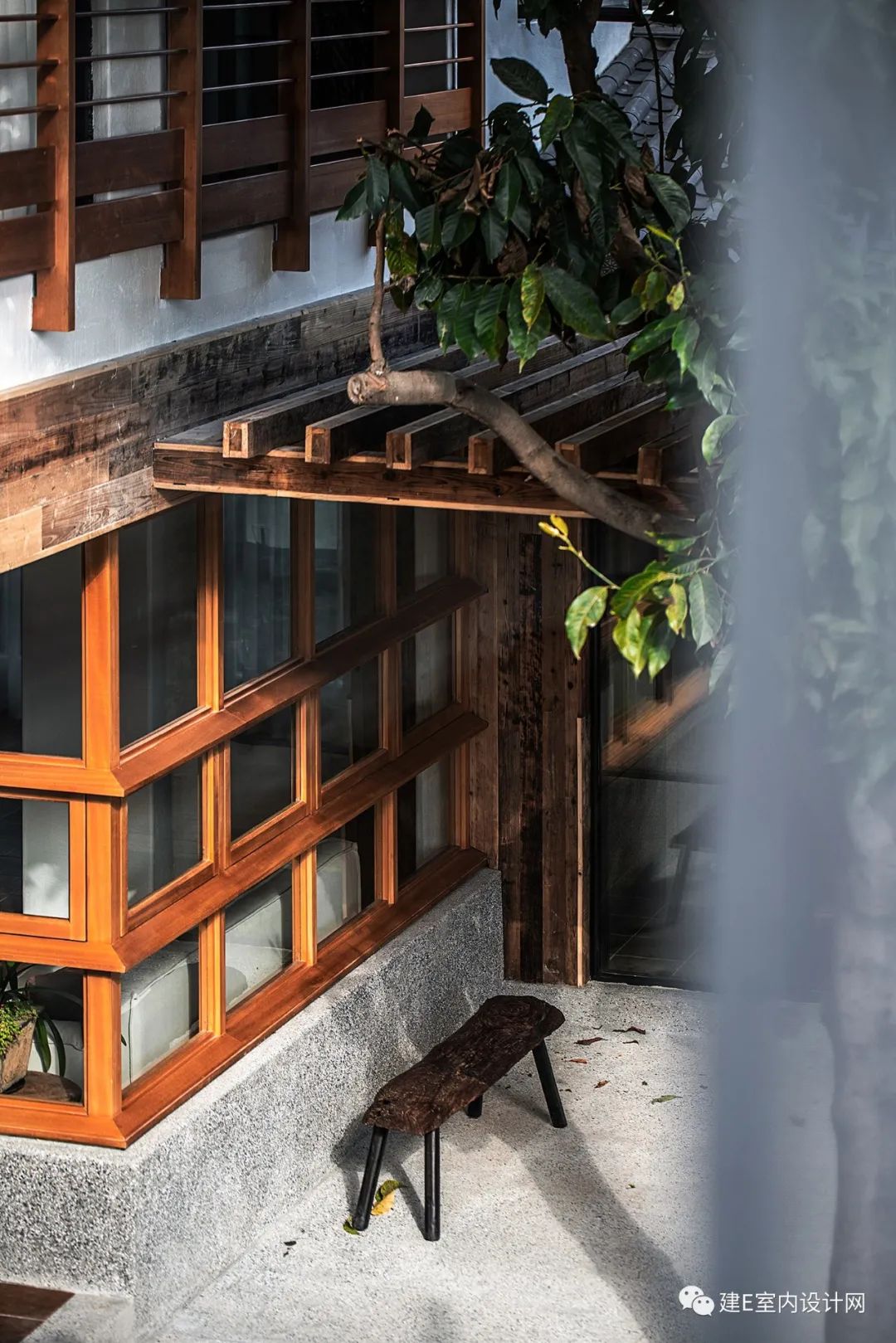 乘风破浪谢柯,谢柯个人简历