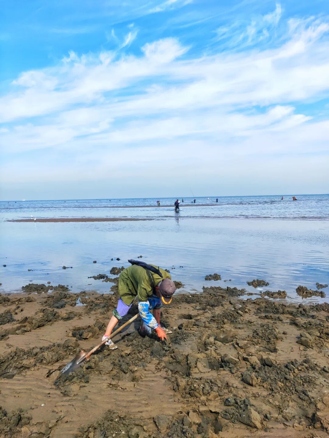 2022春节大连本命年免费景点,大连免费景点排行榜前十名
