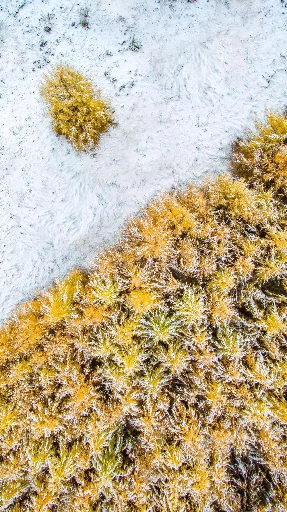 致敬祖国绘画作品高难度,关于祖国的手绘画