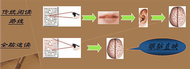 全脑高效速读,高效阅读速读技巧