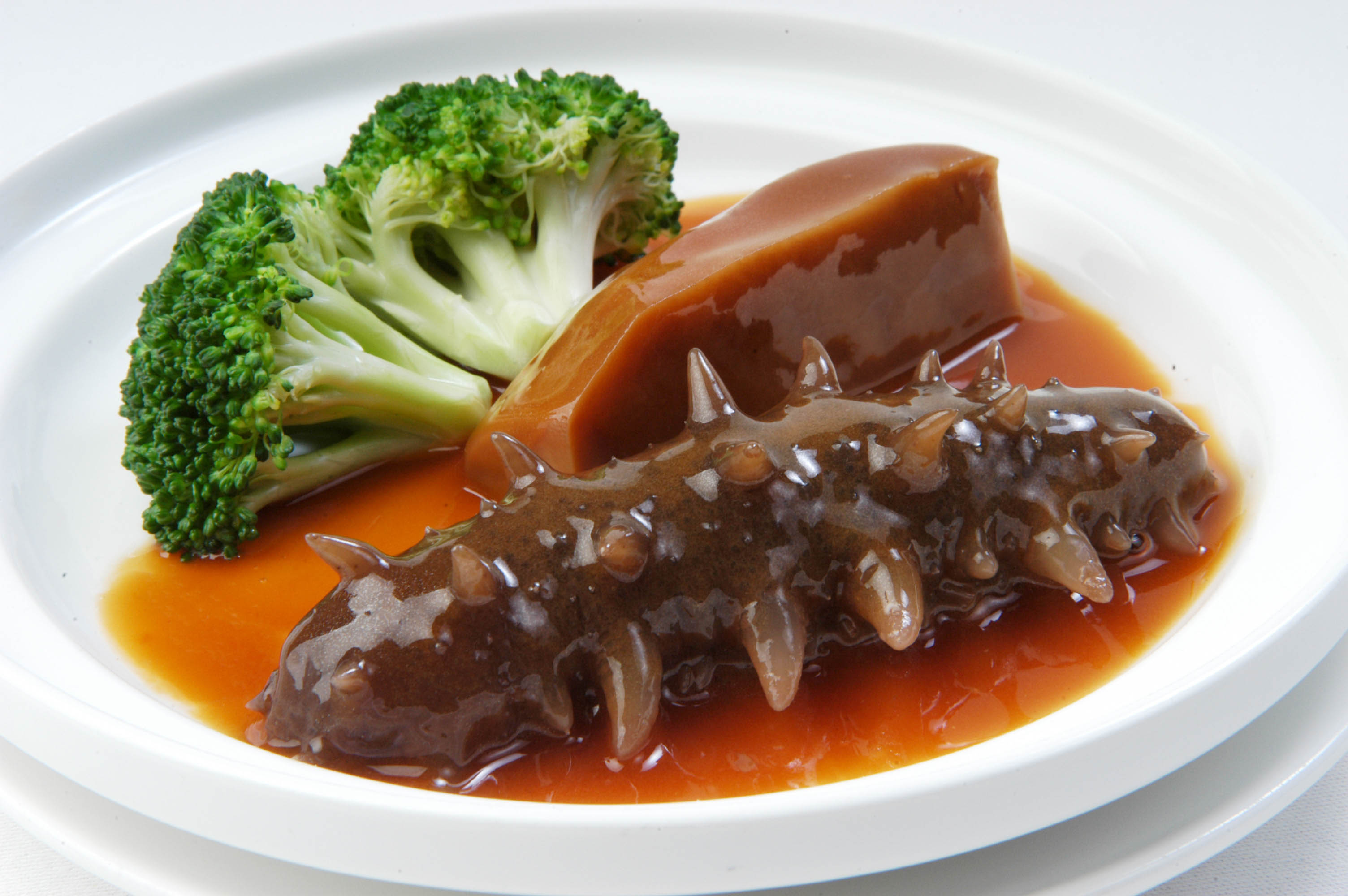 怎样挑选海参才最好,怎样挑选海参最好