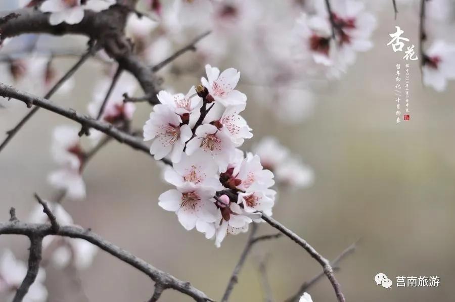 莒南自驾游免费景点大全图片,莒南春季游玩好去处推荐