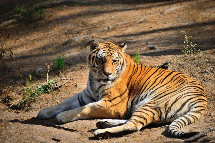 湖南自驾游最佳路线图2021,湖南省自驾亲子游的旅游推荐景点