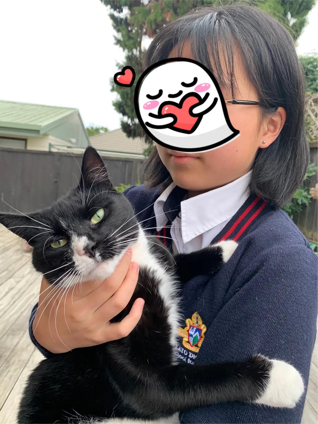 猫与女人相似之处,猫像女人