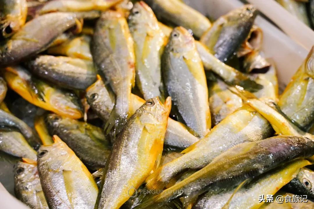 全国十大水产批发市场,全国最大的海鲜水产批发市场